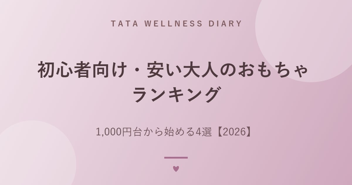 初心者向け・安い大人のおもちゃ ランキング｜1,000円台から始める4選【2026】